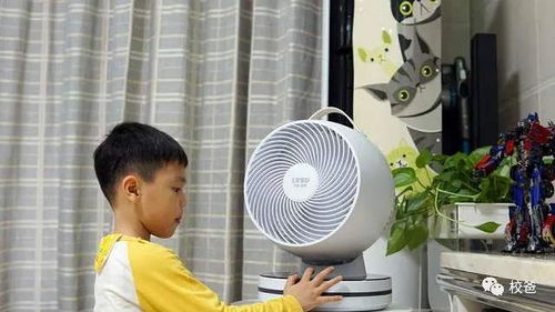 柔風送爽，清涼一夏 利維斯頓空氣循環扇體驗分享